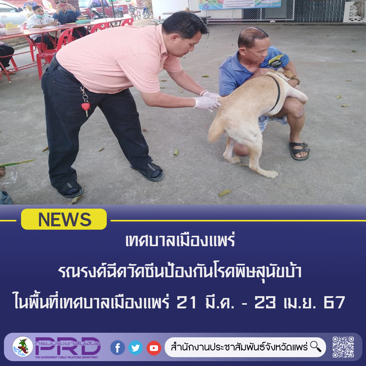 เทศบาลเมืองแพร่ จัดเจ้าหน้าที่ทำการฉีดวัคซีนป้องกันโรคพิษสุนัขบ้า ตามชุมชนต่างๆ ตั้งแต่วันที่ 21 มีนาคม – 23 เมษายน 2567