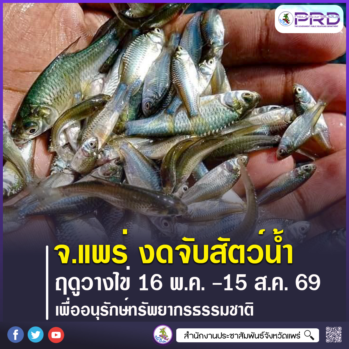 จังหวัดแพร่ ขอความร่วมมือประชาชนงดจับสัตว์น้ำช่วงฤดูวางไข่ 16 พฤษภาคม ถึงวันที่ 15 สิงหาคม 2569 เพื่ออนุรักษ์ทรัพยากรธรรมชาติ