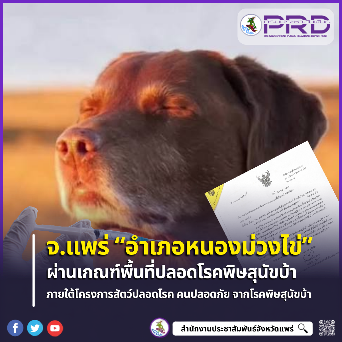 จังหวัดแพร่ ประกาศข่าวดี! &ldquo;หนองม่วงไข่&rdquo; ผ่านเกณฑ์ประเมิน ขึ้นแท่นอำเภอปลอดโรคพิษสุนัขบ้า ประจำปี 2569 ตามพระปณิธานฯ